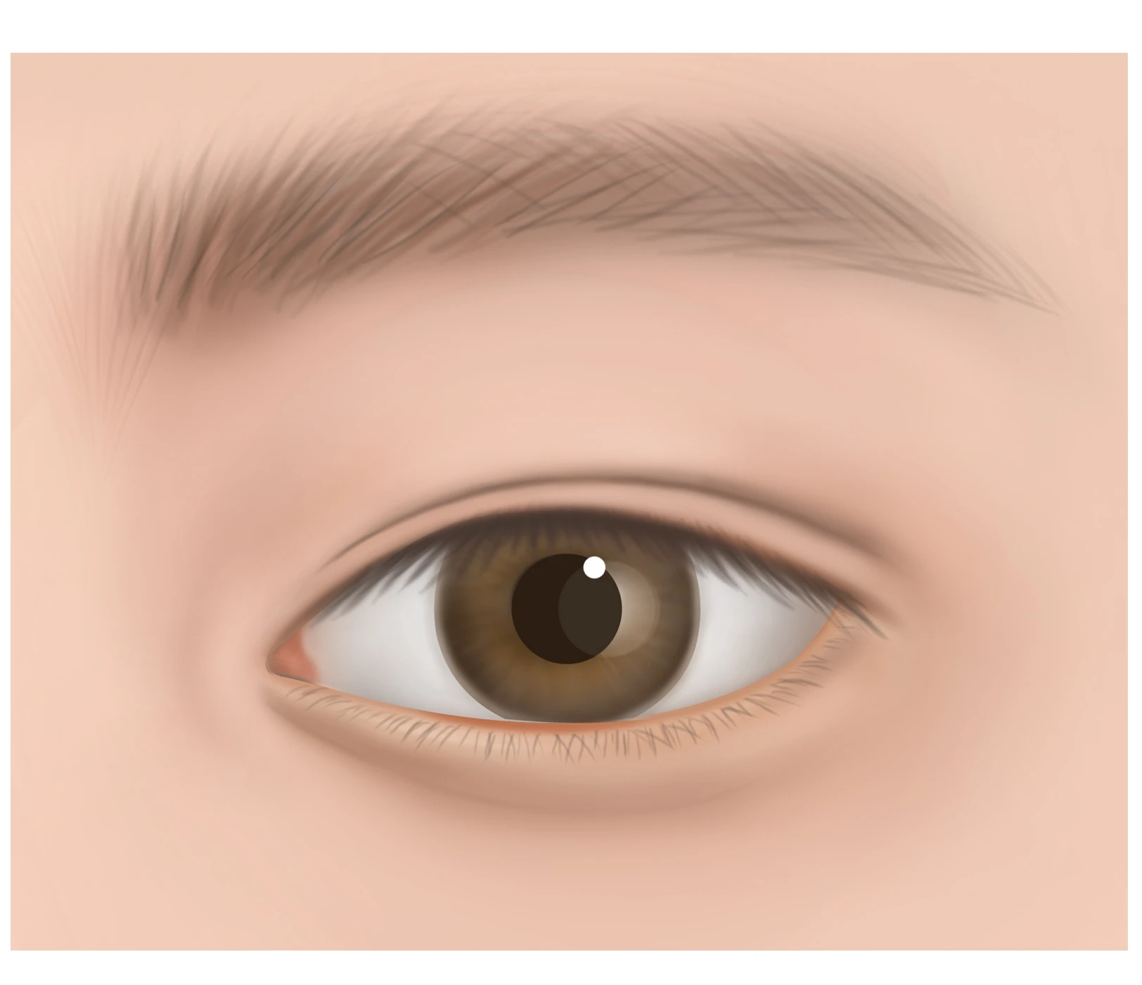 In-Out line crease style