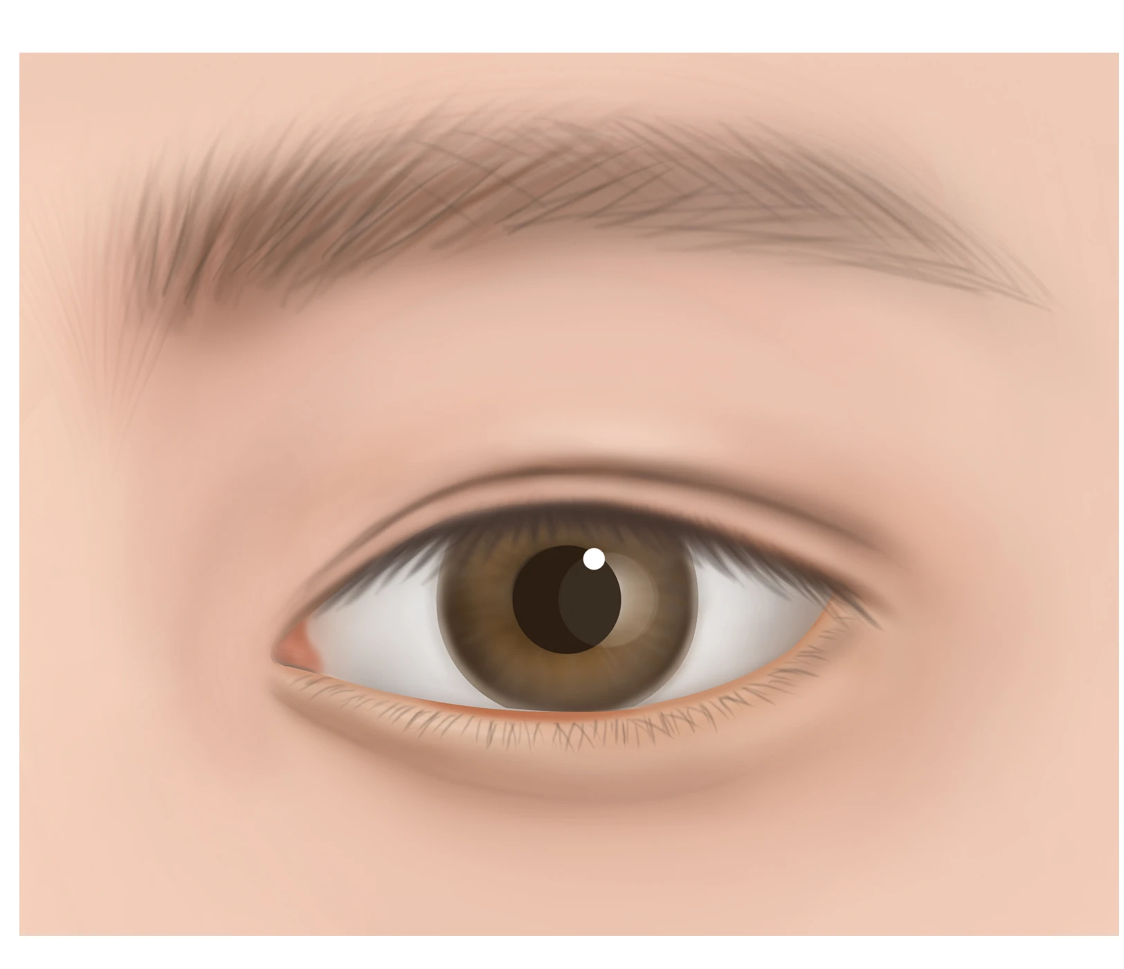 Semi-Out line crease style